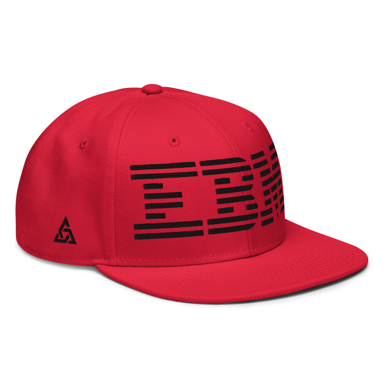 EBM SNAPBACK