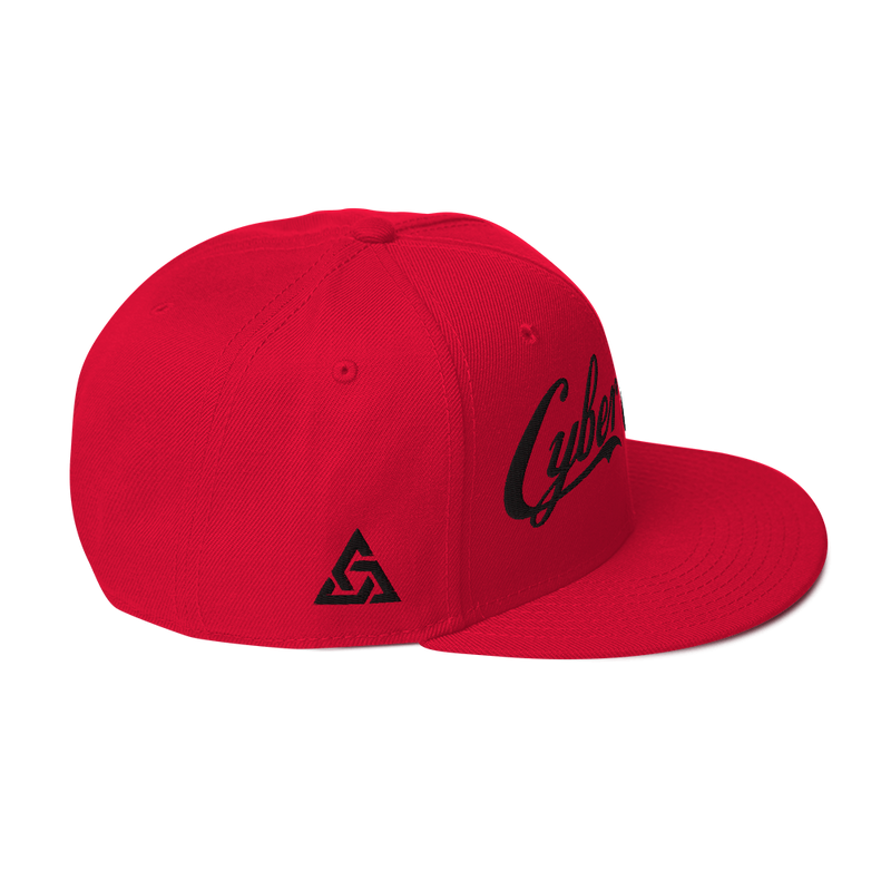 CYBERCRIME ZERODAY SNAPBACK