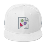 IMAGE PROBLEM SNAPBACK