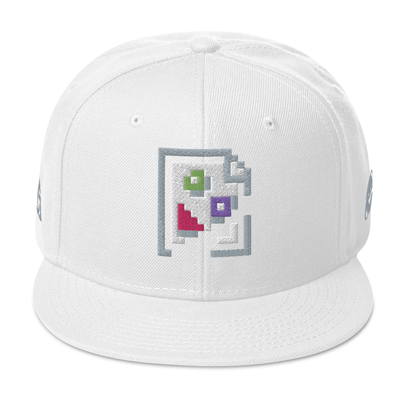 IMAGE PROBLEM SNAPBACK