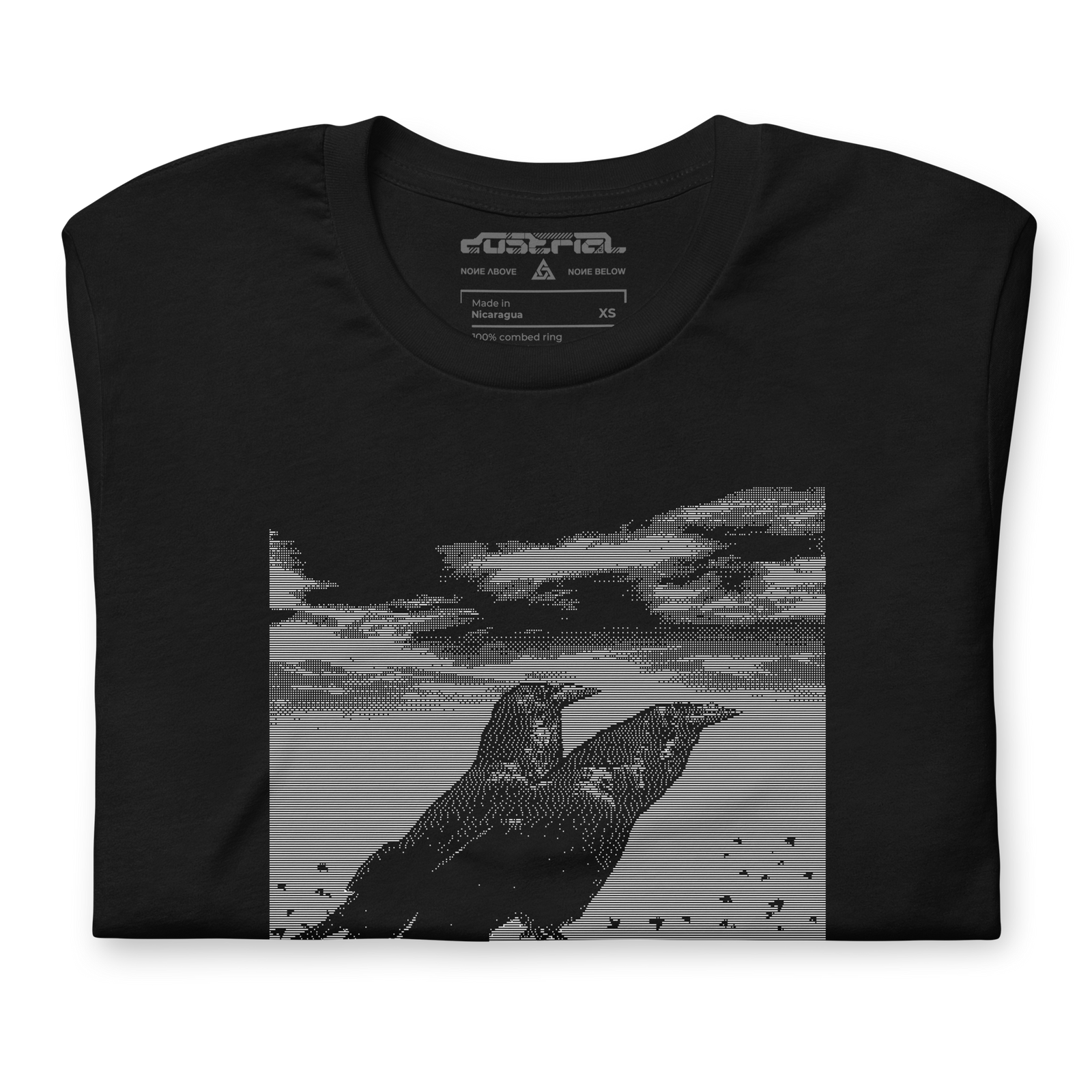 MURDER OF CROWS GRAPHIC TEE – Dustrial
